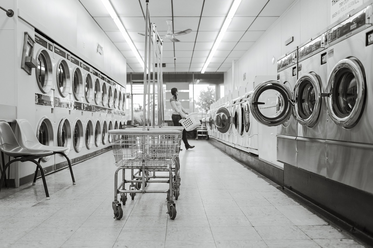 laundry saloon, laundry, person